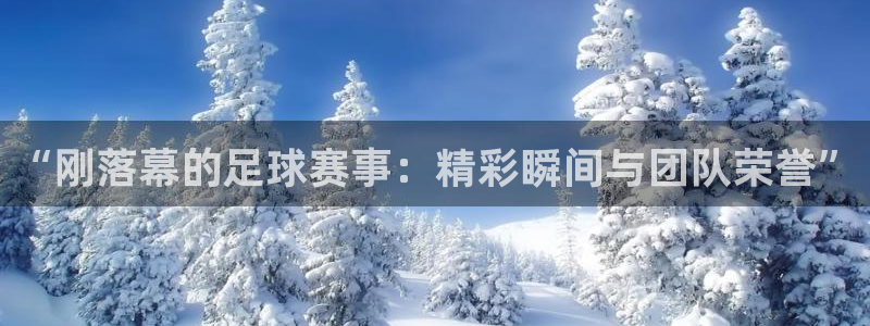 “刚落幕的足球赛事：精彩瞬间与团队荣誉”