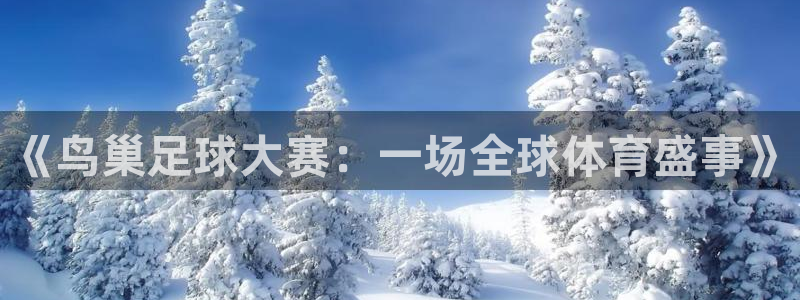 《鸟巢足球大赛：一场全球体育盛事》