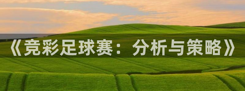 《竞彩足球赛：分析与策略》