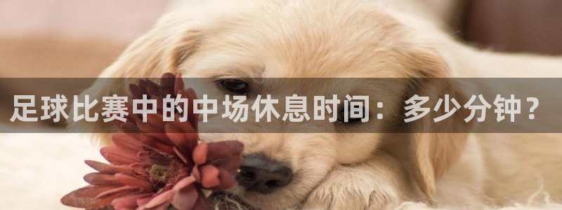  足球比赛中的中场休息时间：多少分钟？