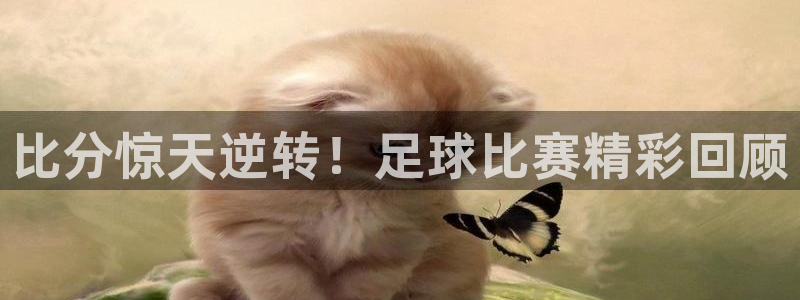 比分惊天逆转！足球比赛精彩回顾
