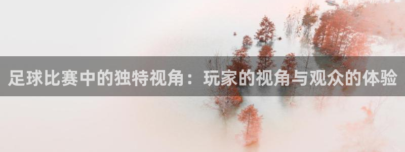 足球比赛中的独特视角：玩家的视角与观