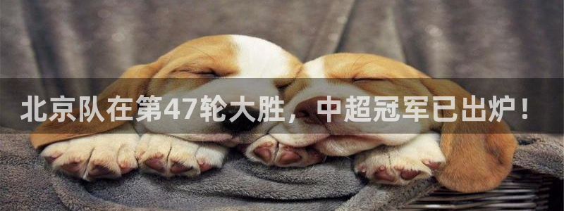 北京队在第47轮大胜，中超冠军已出炉！