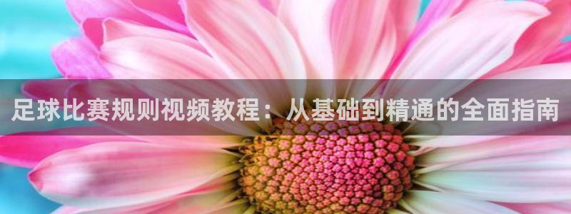 足球比赛规则视频教程：从基础到精通的全面指南