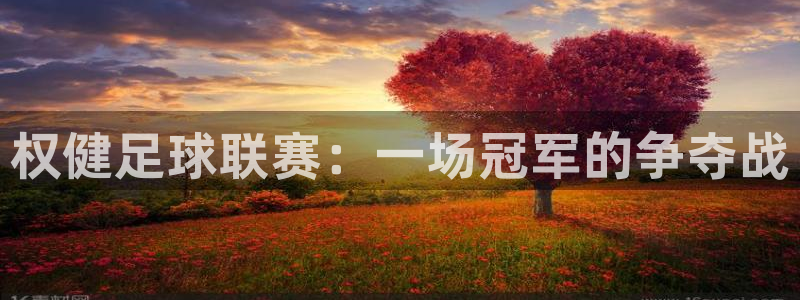  权健足球联赛：一场冠军的争夺战