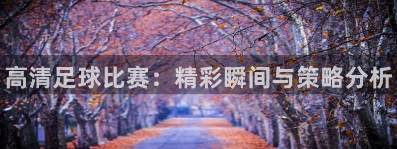 高清足球比赛：精彩瞬间与策略分析