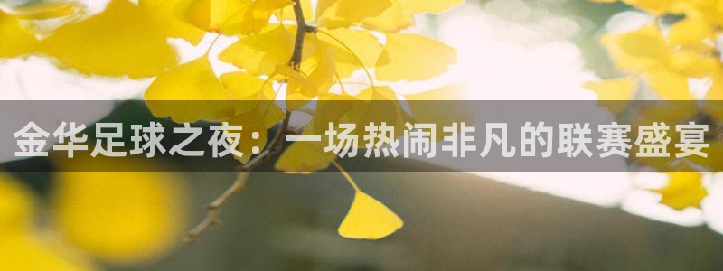 金华足球之夜：一场热闹非凡的联赛盛宴