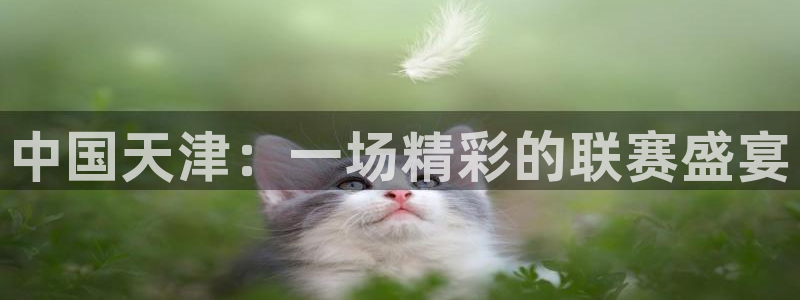 中国天津：一场精彩的联赛盛宴