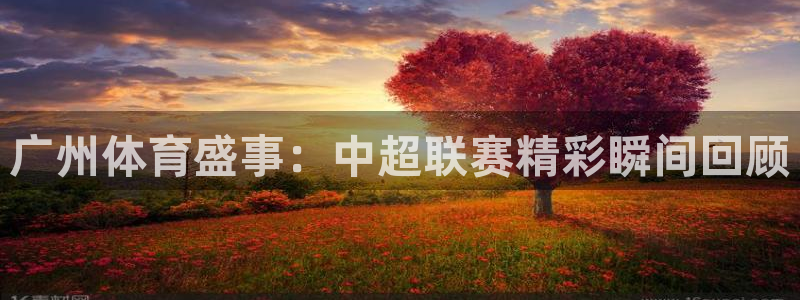 广州体育盛事：中超联赛精彩瞬间回顾