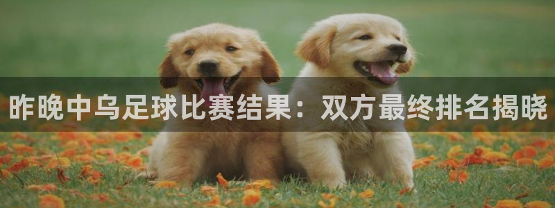 昨晚中乌足球比赛结果：双方最终排名揭晓