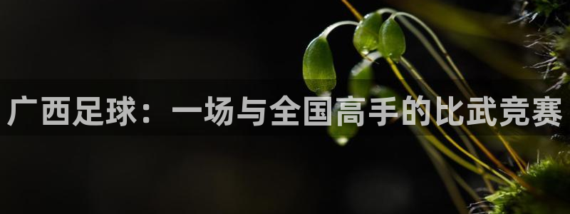 广西足球：一场与全国高手的比武竞赛