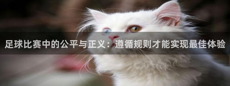 足球比赛中的公平与正义：遵循规则才能实现最佳体验