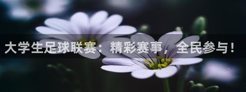 大学生足球联赛：精彩赛事，全民参与！