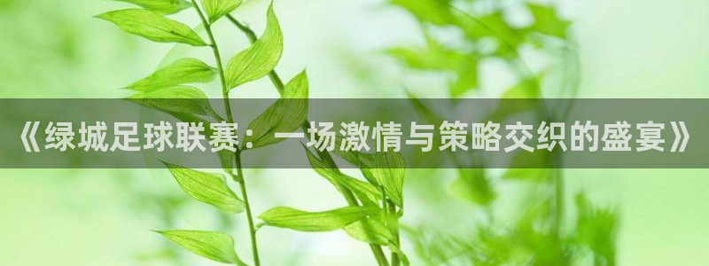《绿城足球联赛：一场激情与策略交织的