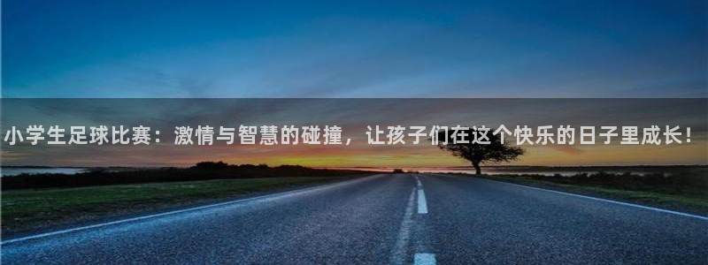 小学生足球比赛：激情与智慧的碰撞，让