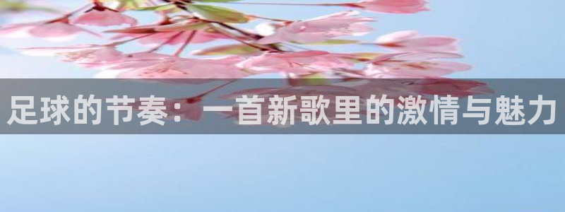  足球的节奏：一首新歌里的激情与魅力