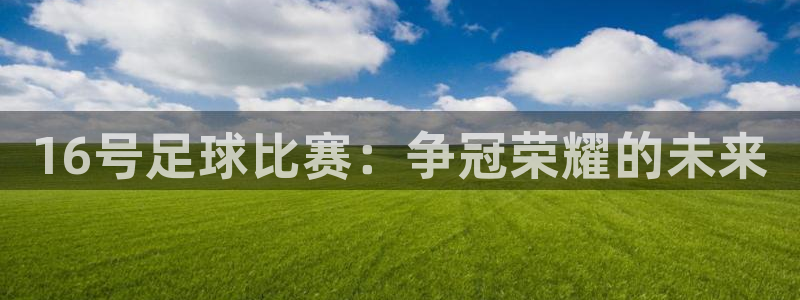  16号足球比赛：争冠荣耀的未来