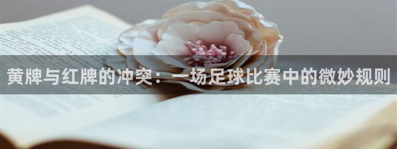 黄牌与红牌的冲突：一场足球比赛中的微妙规则