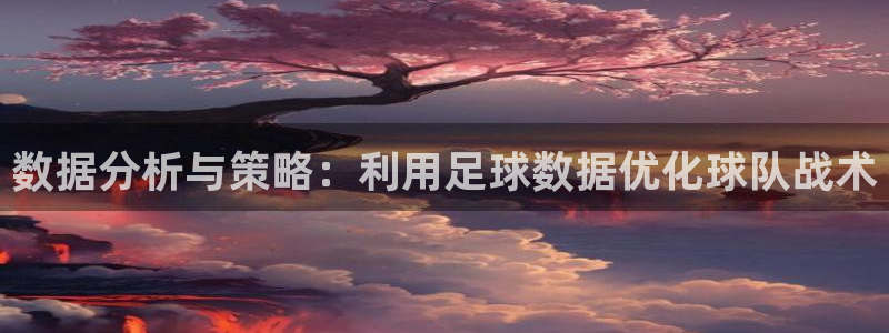 数据分析与策略：利用足球数据优化球队战术