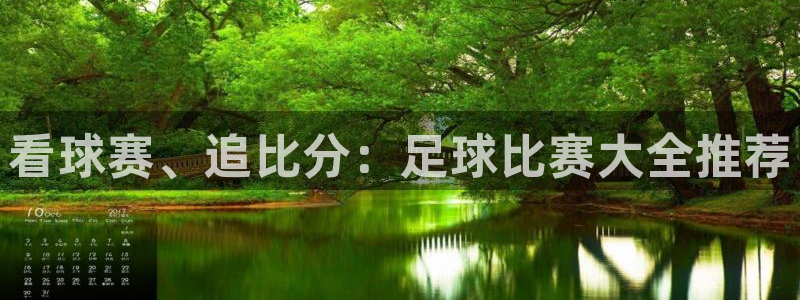看球赛、追比分：足球比赛大全推荐