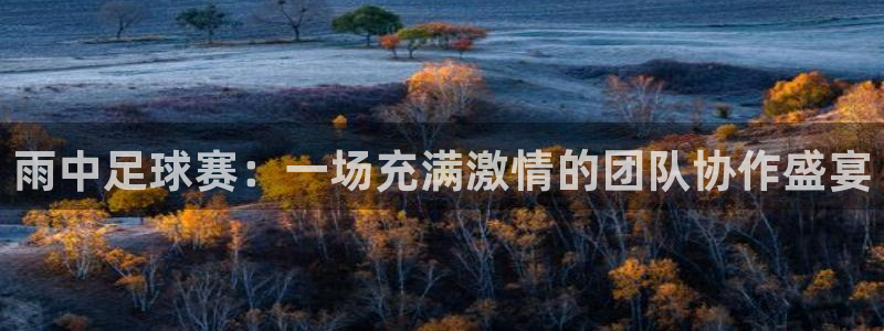雨中足球赛：一场充满激情的团队协作盛