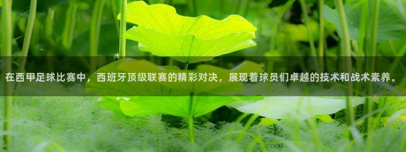 在西甲足球比赛中，西班牙顶级联赛的精