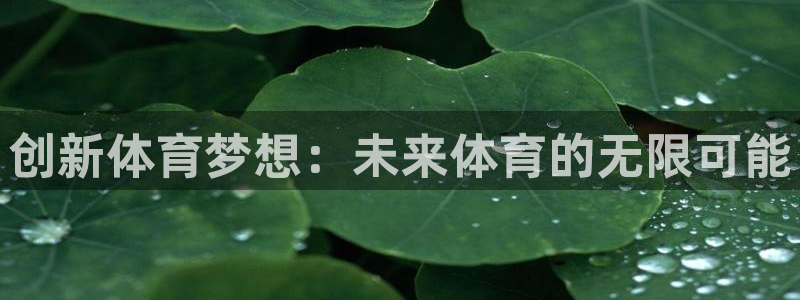 678体育官网