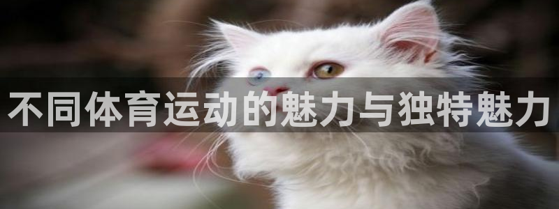 皇冠678体育：不同体育运动的魅力与独特魅力