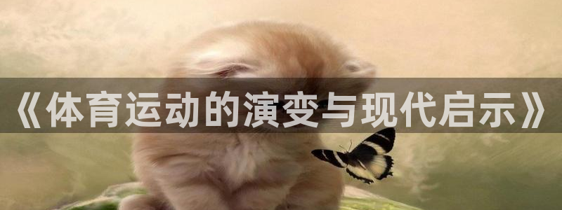 678体育官网：《体育运动的演变与现代启示》