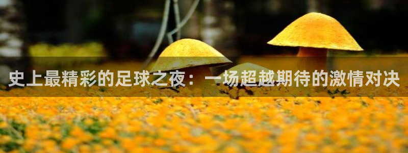 史上最精彩的足球之夜：一场超越期待的