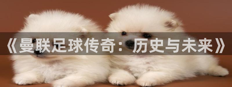《曼联足球传奇：历史与未来》