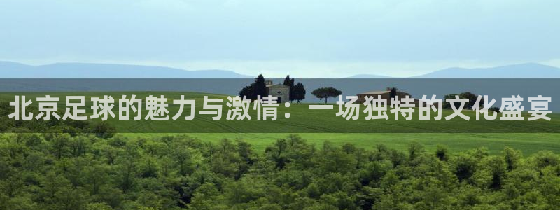 北京足球的魅力与激情：一场独特的文化