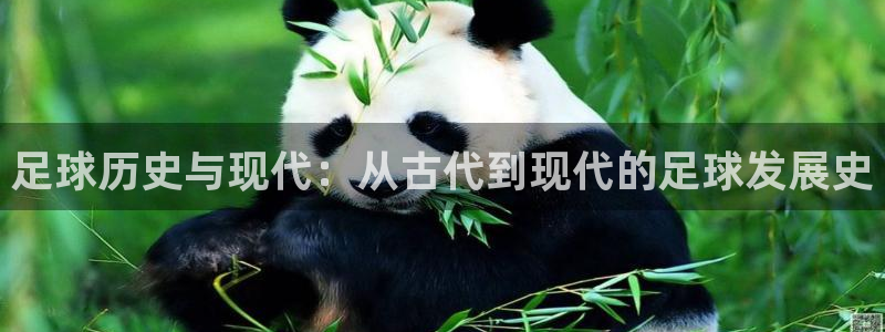 足球历史与现代：从古代到现代的足球发