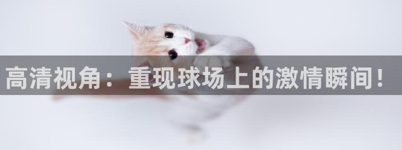 高清视角：重现球场上的激情瞬间！