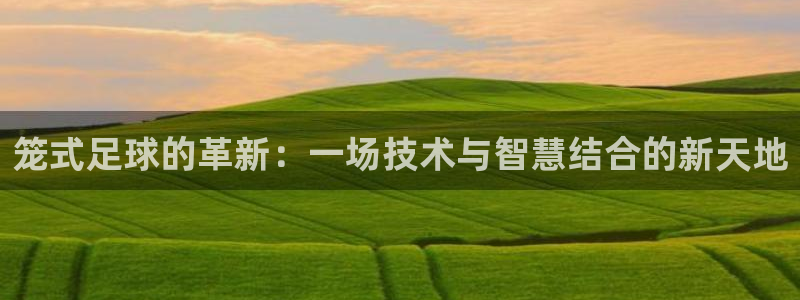 笼式足球的革新：一场技术与智慧结合的